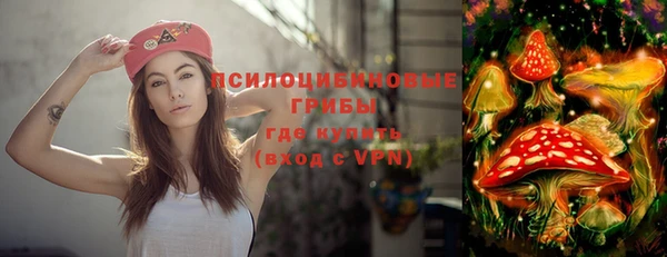 молекула духа Арсеньев