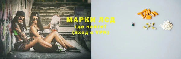 молекула духа Арсеньев