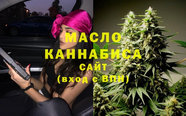 молекула духа Арсеньев
