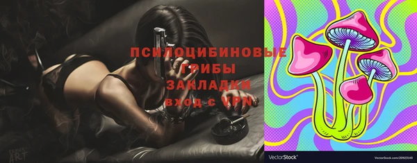 ПСИЛОЦИБИНОВЫЕ ГРИБЫ Армянск