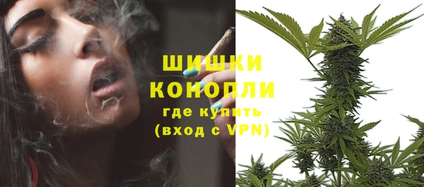ПСИЛОЦИБИНОВЫЕ ГРИБЫ Армянск