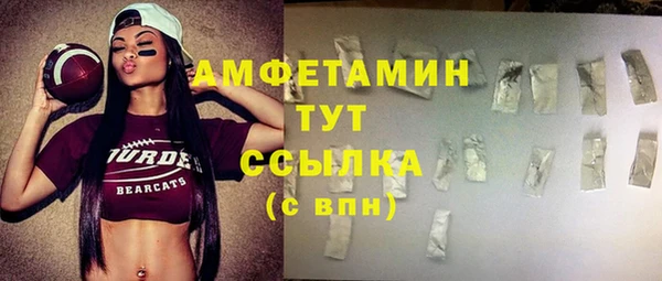 соль ск Алзамай