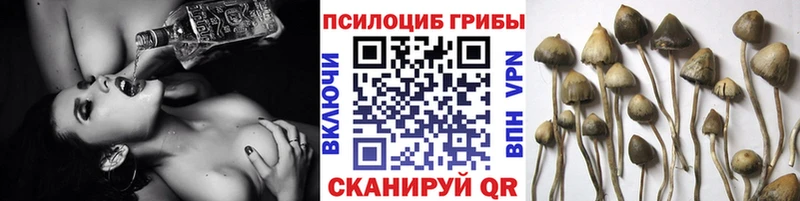 Галлюциногенные грибы Magic Shrooms  Краснослободск 